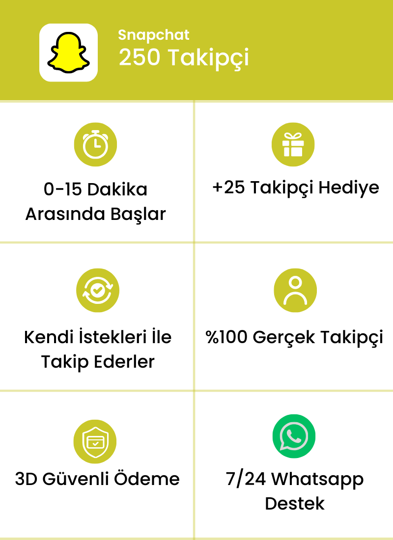 Snapchat 250 Takipçi